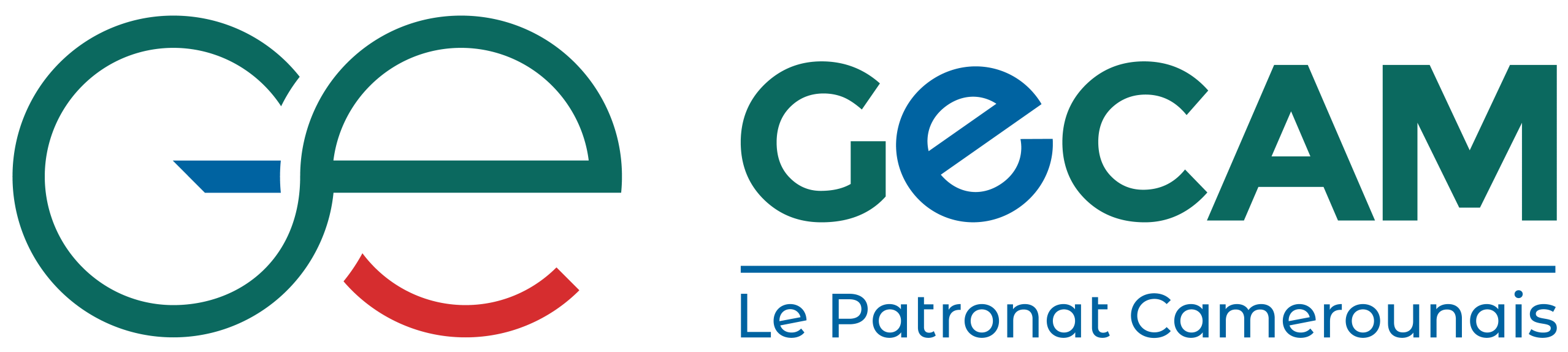 GECAM Workspace